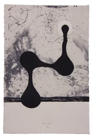 Офорт И Аквитанта Baroja-Collet - Free them all