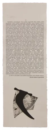 Иллюстрированная Книга Baroja-Collet - Neguko kronika hegoaldeko ordeketan