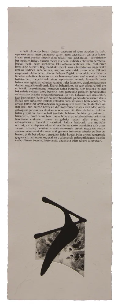 Иллюстрированная Книга Baroja-Collet - Neguko kronika hegoaldeko ordeketan