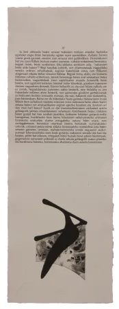 Иллюстрированная Книга Baroja-Collet - Neguko kronika hegoaldeko ordeketan