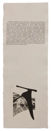 Иллюстрированная Книга Baroja-Collet - Neguko kronika hegoaldeko ordeketan