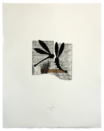 Офорт И Аквитанта Baroja-Collet - Seducción