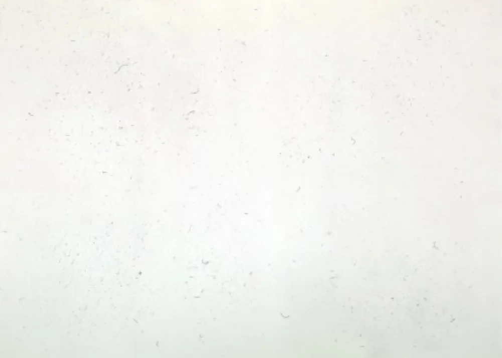 Гравюра Bartolini - Dust Chaser 1