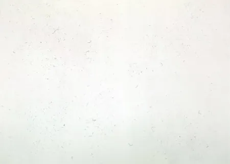 Гравюра Bartolini - Dust Chaser 1