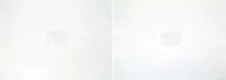 Гравюра Bartolini - Dust Chaser