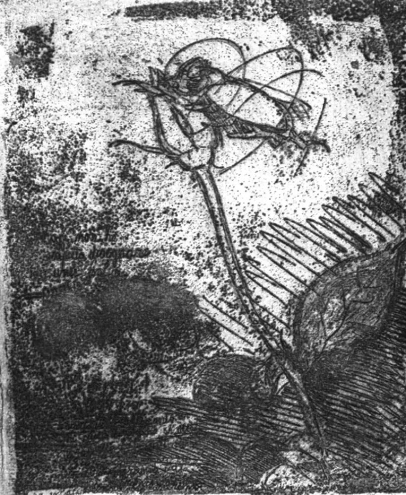 Офорт Bartolini - La rosa