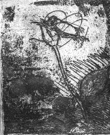 Офорт Bartolini - La rosa