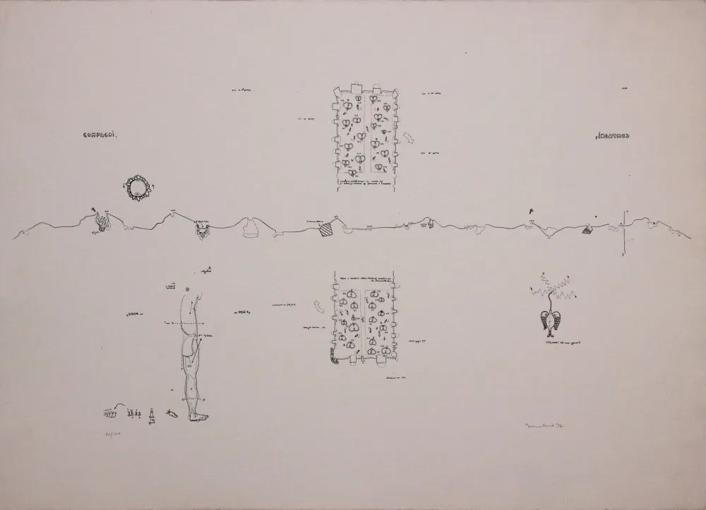 Литография Baruchello - Campioni