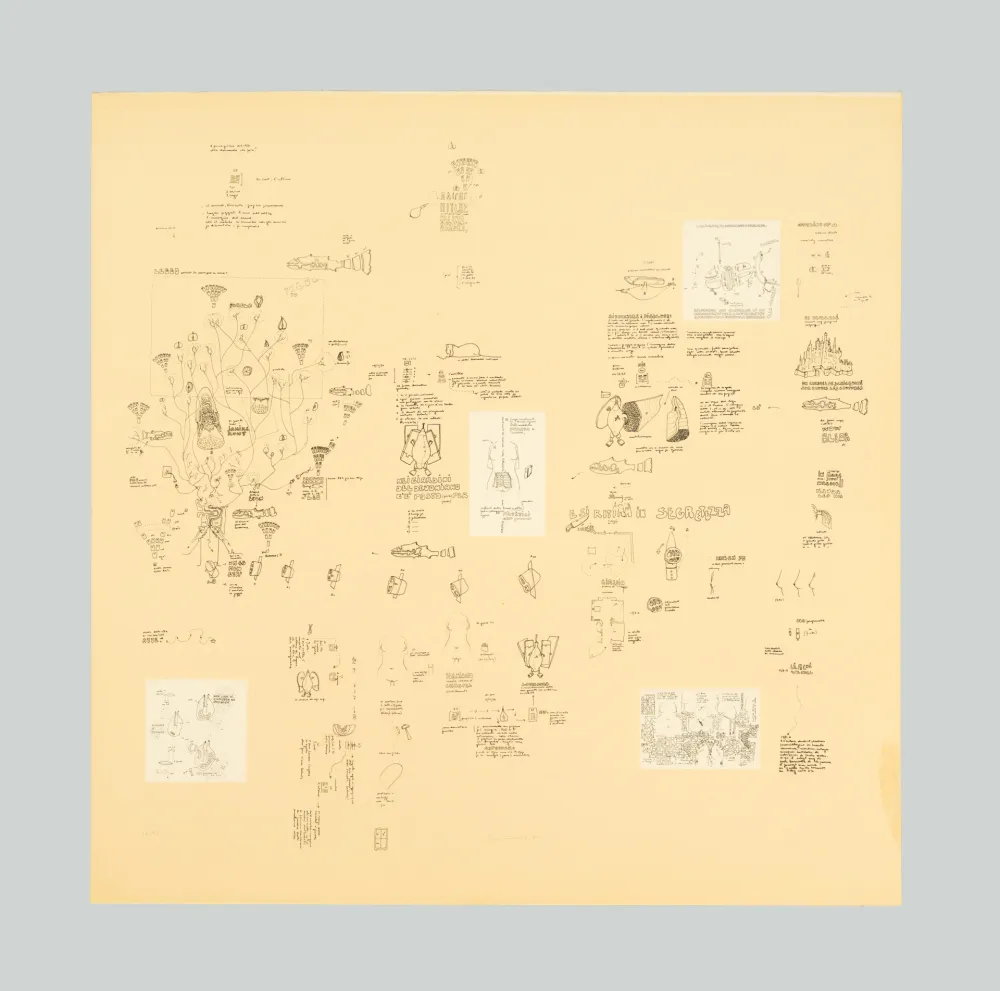 Сериграфия Baruchello - Senza titolo