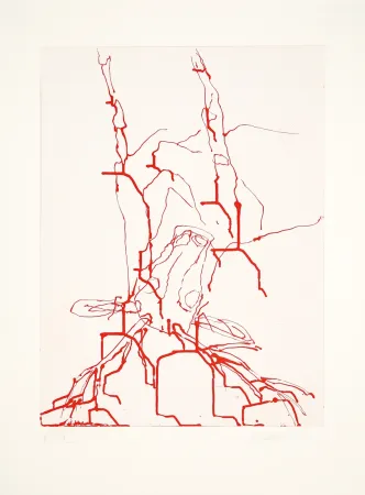Акватинта Baselitz - 