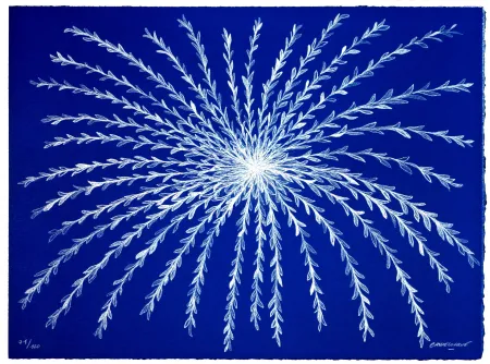 Литография Baudelocque - Etoile végétale