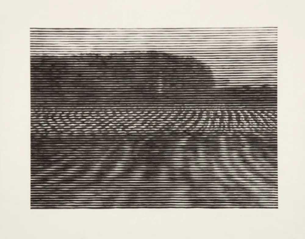 Гравюра На Дереве Baumgartner - Gelände