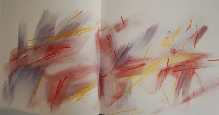 Иллюстрированная Книга Bazaine - Bazaine