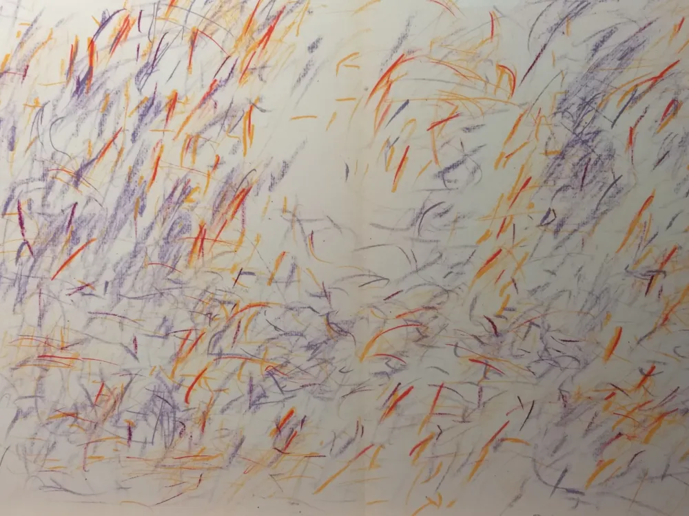 Иллюстрированная Книга Bazaine - DLM 170