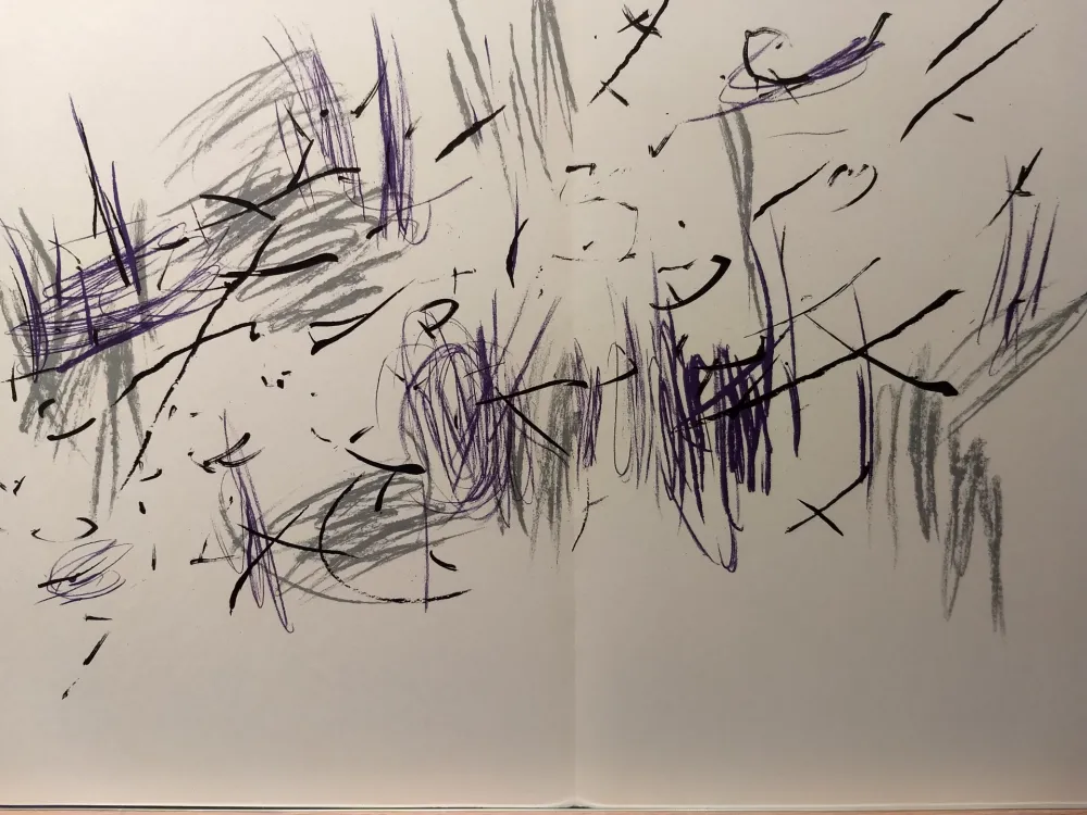 Иллюстрированная Книга Bazaine - DLM 197