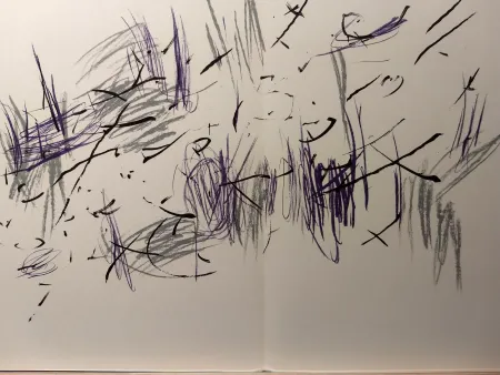 Иллюстрированная Книга Bazaine - DLM 197