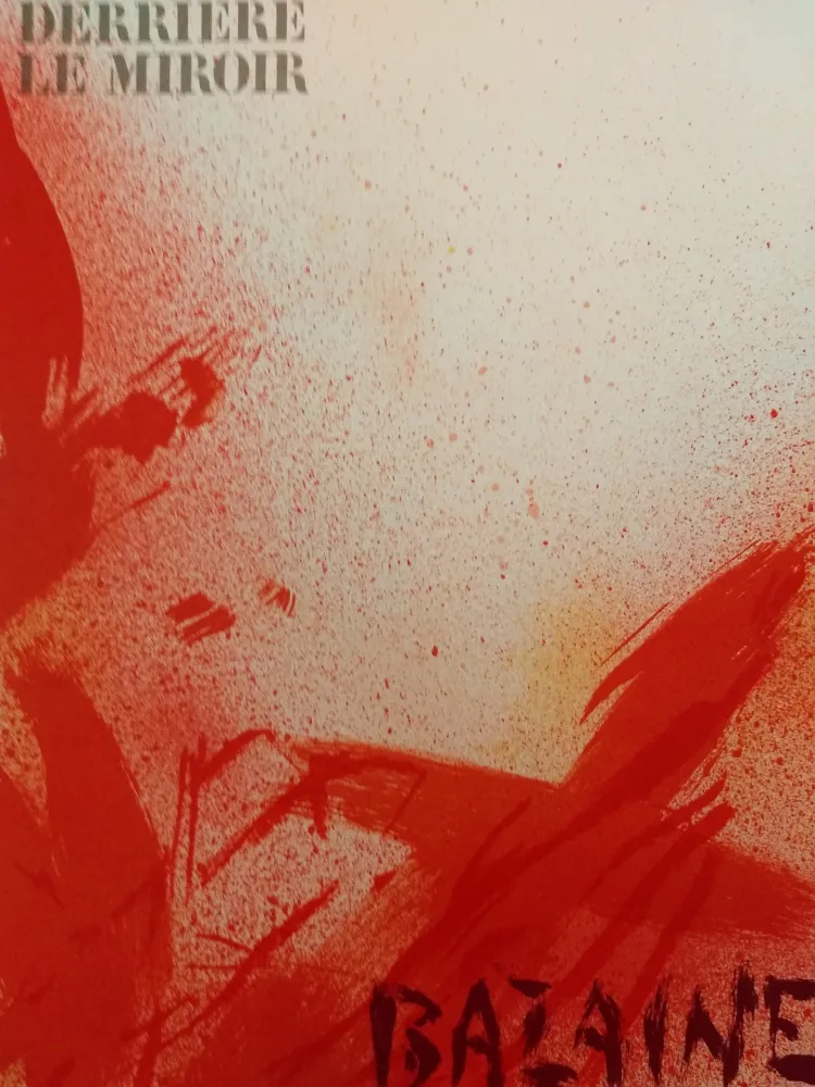 Иллюстрированная Книга Bazaine - DLM 215