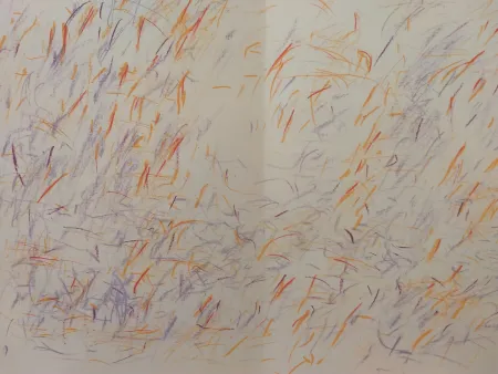 Иллюстрированная Книга Bazaine - Edition Tete DLM 170