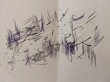 Иллюстрированная Книга Bazaine - Edition Tete DLM 197