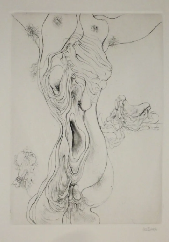 Гравюра Bellmer - A Sade 8