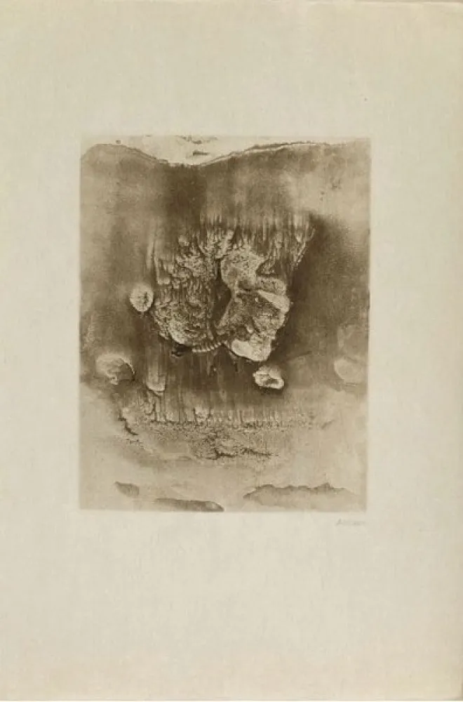 Гравюра Bellmer -  Entre deux eaux