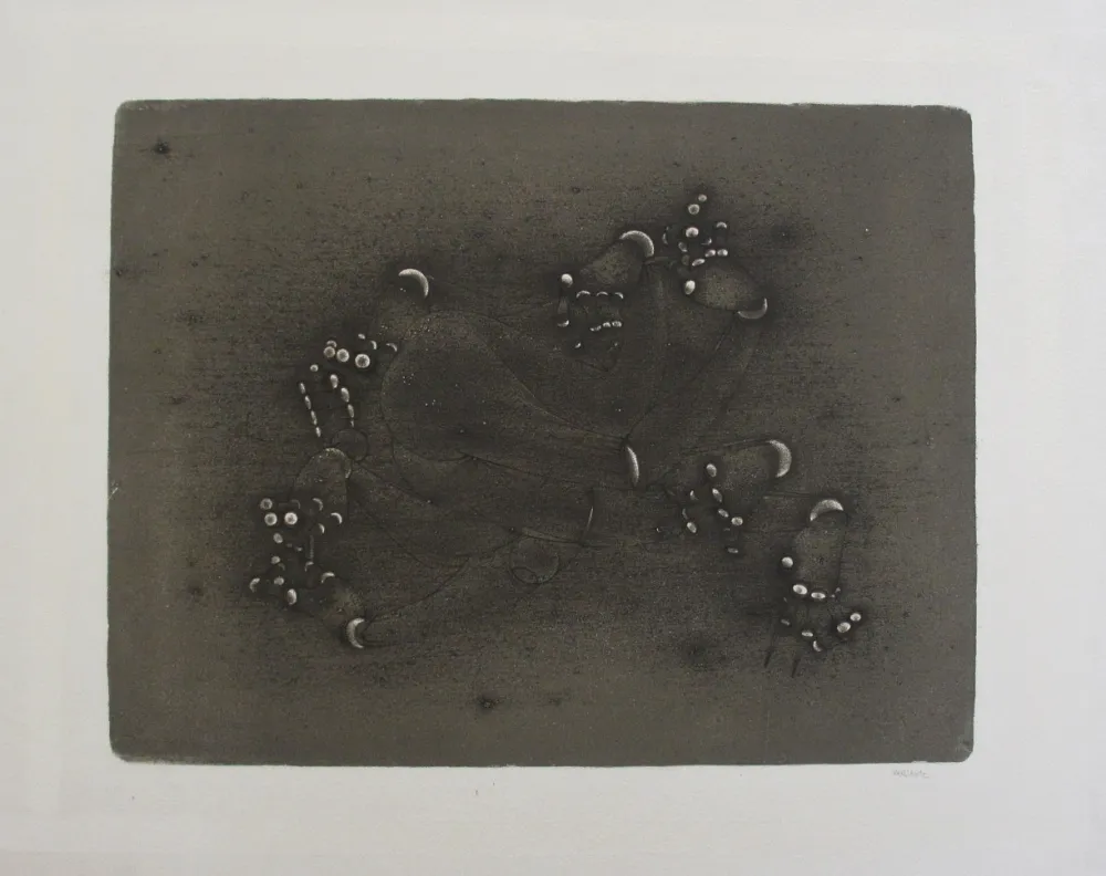 Литография Bellmer - Les Mains Articulées