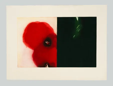 Офорт И Аквитанта Benati - Affiora