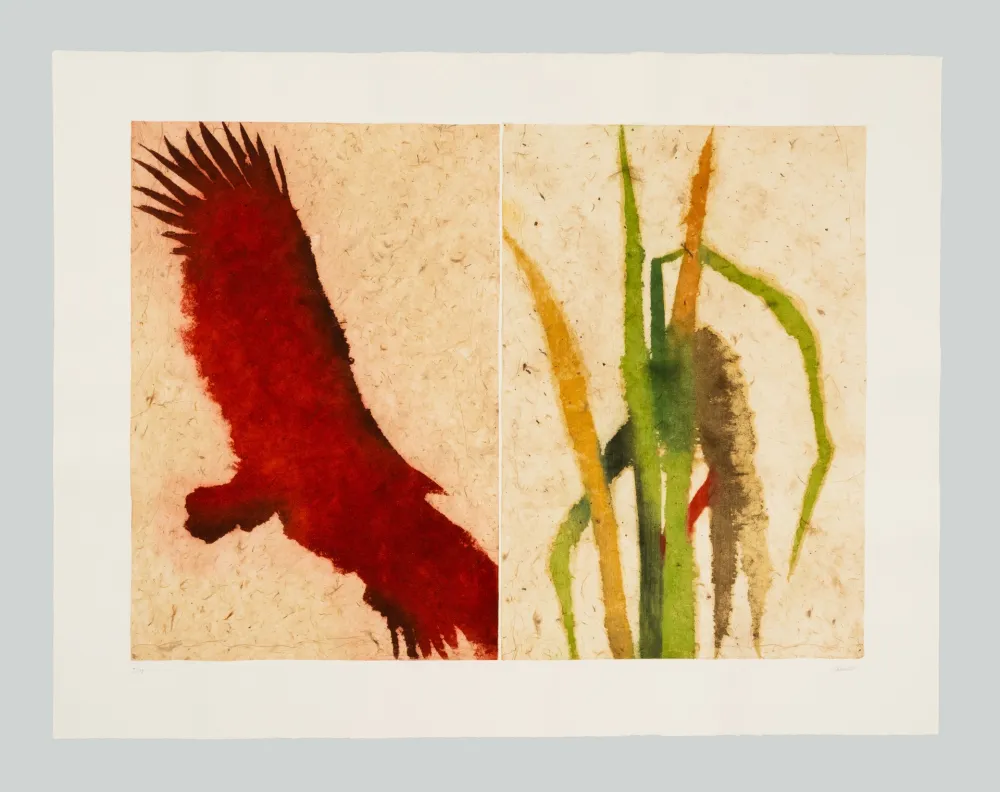 Офорт И Аквитанта Benati - Baia California