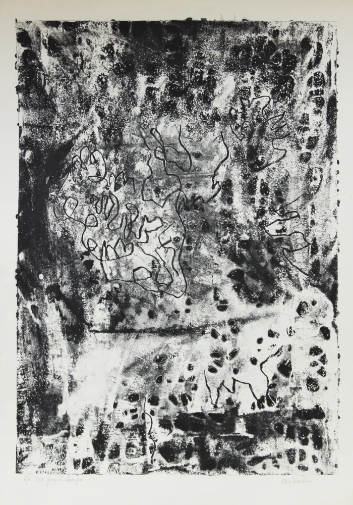 Литография Bendini - SENZA TITOLO