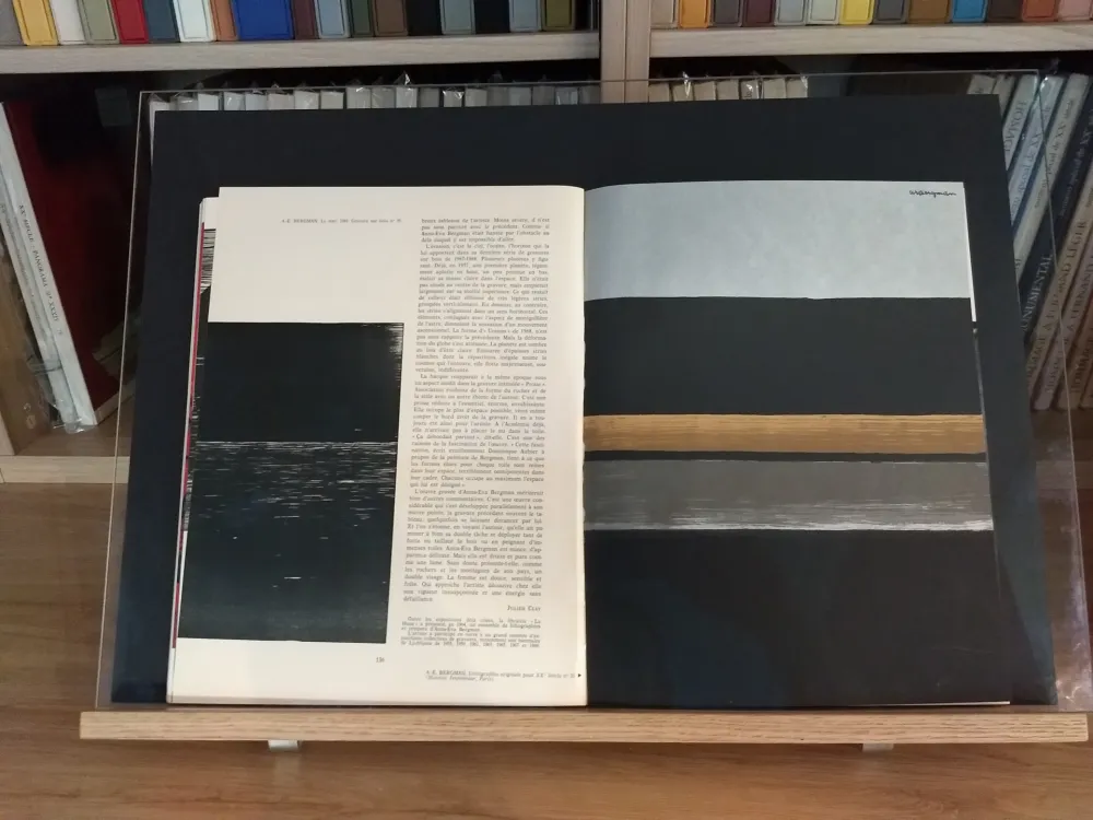 Иллюстрированная Книга Bergman - No 35