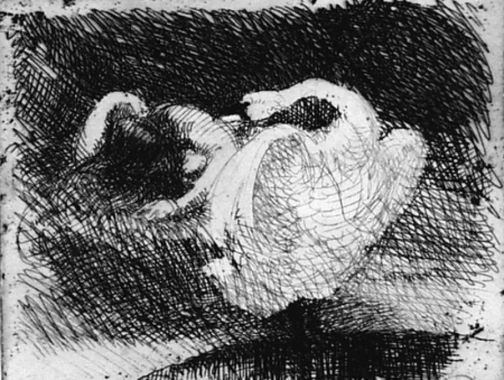 Офорт Besnard - Léda s'endort