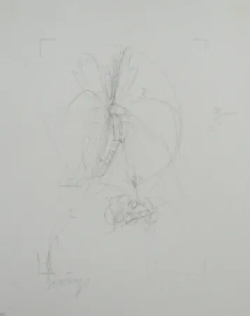 Литография Beuys - Codices Madrid 10