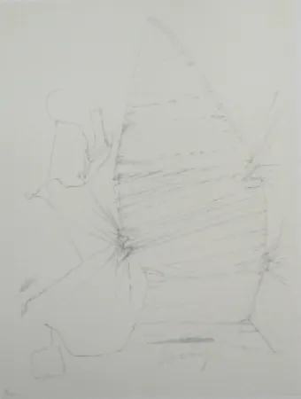 Литография Beuys - Codices Madrid 3