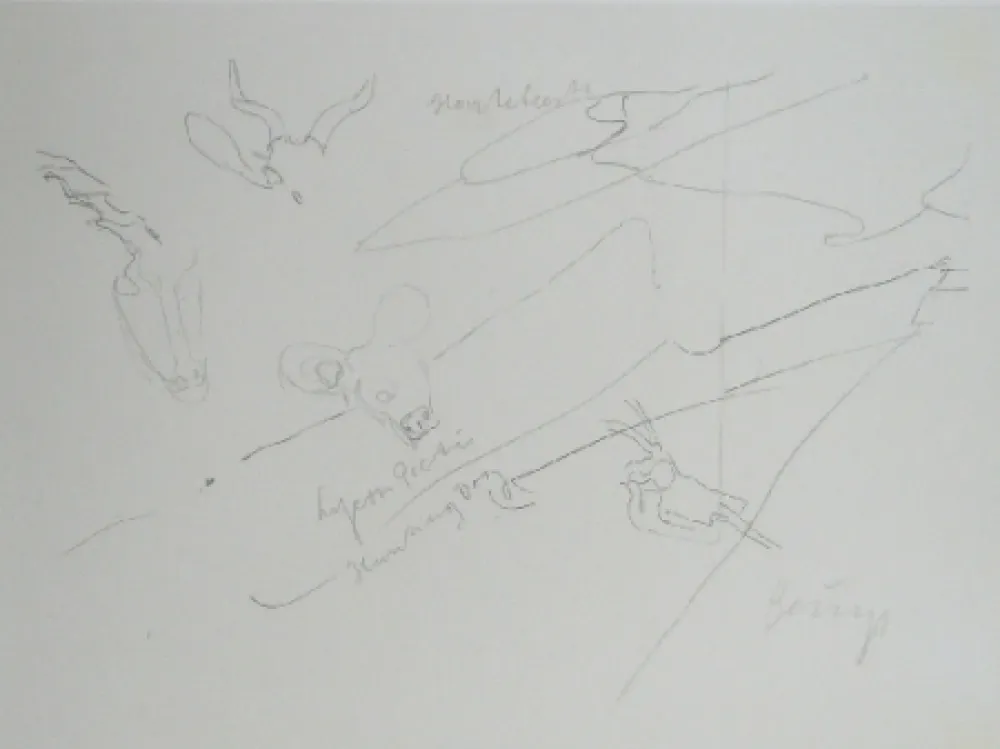 Литография Beuys - Codices Madrid 9