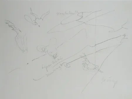 Литография Beuys - Codices Madrid 9