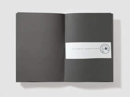 Сериграфия Beuys - Die leute sind ganz prima in Foggia