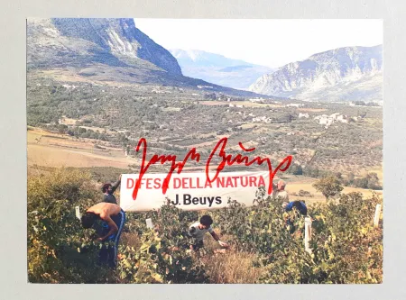 Гашение Beuys - Difesa della natura