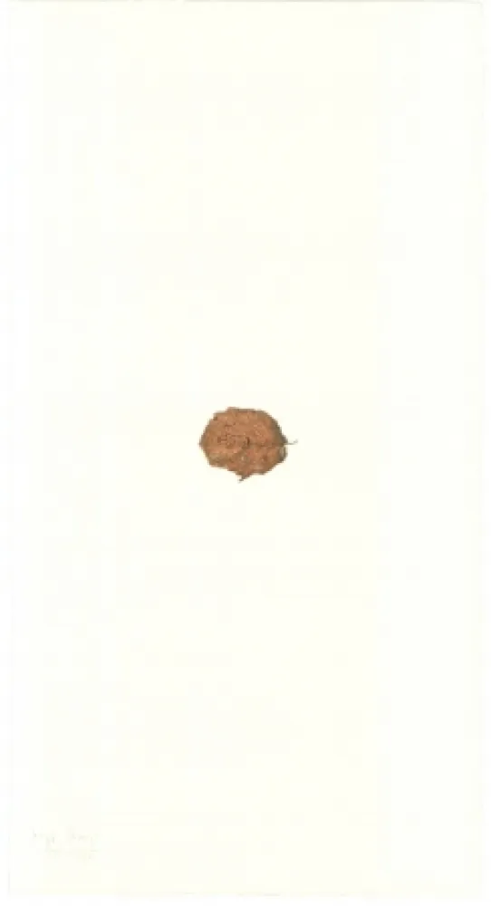 Литография Beuys - Zirkulationszeit: Bär  Museumsausgabe