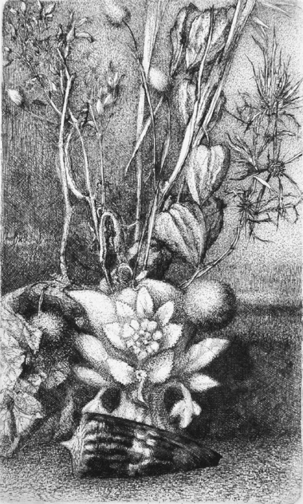 Офорт Bianchi Barriviera - Natura morta