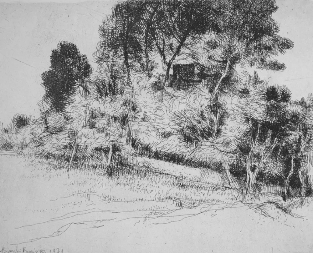 Офорт Bianchi Barriviera - Paesaggio alla via Nomentana