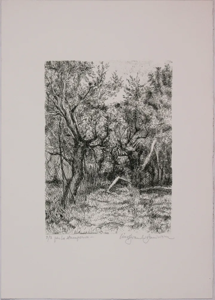 Офорт Bianchi Barriviera - Untitled