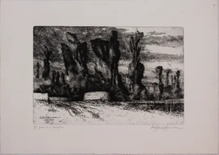 Офорт Bianchi Barriviera - Untitled