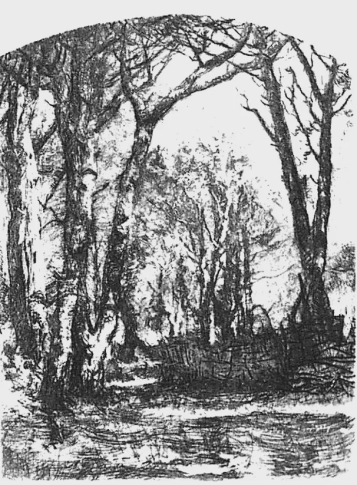 Офорт Bianchi - Il bosco