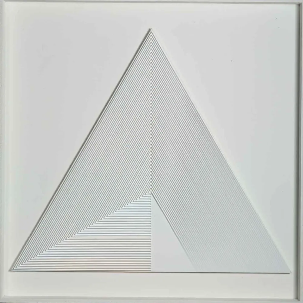 Нет Никаких Технических Biasi - POLITIPO TRIANGOLARE