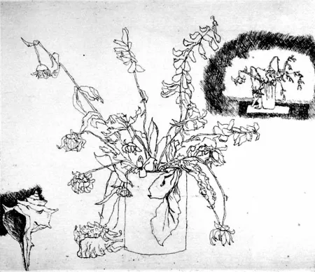 Офорт Biasion - Fiori secchi e conchiglia