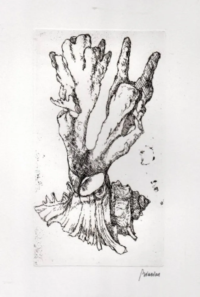 Иллюстрированная Книга Biasion - Venezia lontana