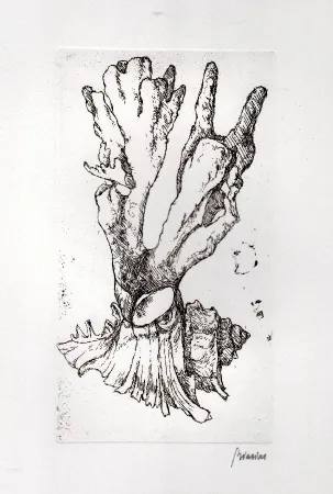 Иллюстрированная Книга Biasion - Venezia lontana