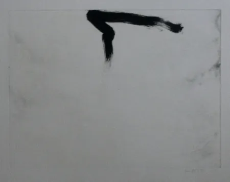 Офорт И Аквитанта Bird - Abstract 11