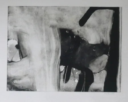 Офорт И Аквитанта Bird - Abstract 4