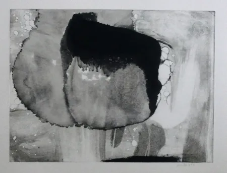 Офорт И Аквитанта Bird - Abstract 9